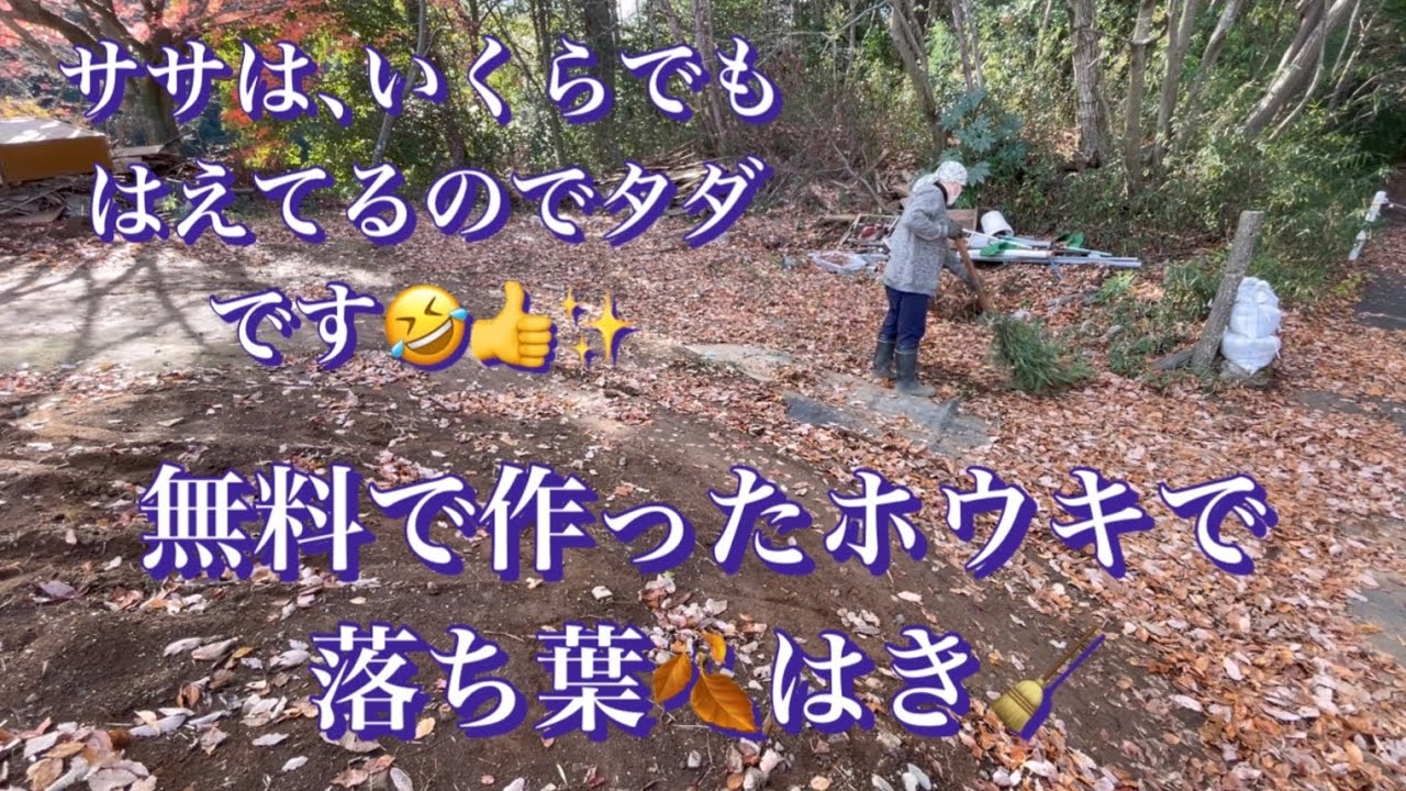 るきぱぱの素人DIY古民家再生【ホウキを作って落ち葉🍂はき】 - YouTube