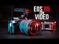 Canon EOS R5 for Video after 4 months. Real-world review!