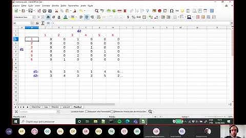 Exercício de matrizes em C