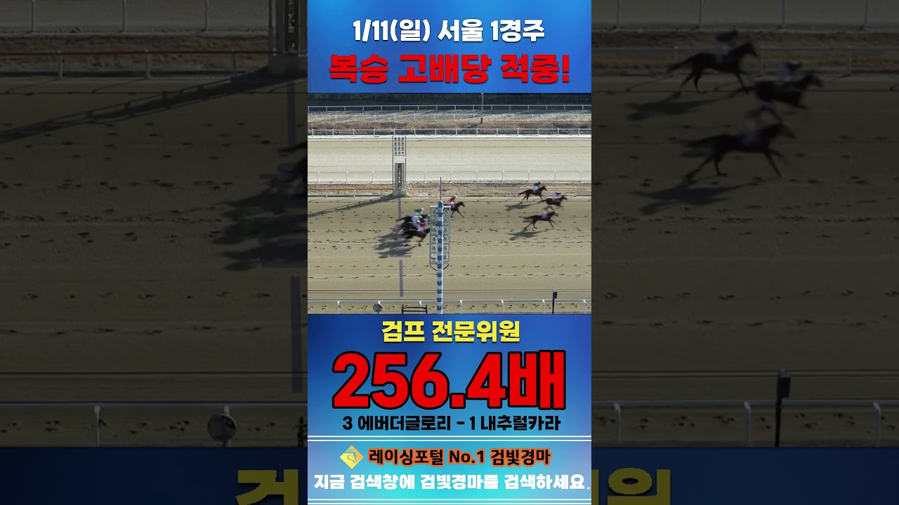 [서울 경마] 1월 11일 일요 1경주 검프 전문위원 복승 고배당 적중 #하이라이트 #horse #경마 #automobile #한국마사회 #horseriding #한국마사회 #게임