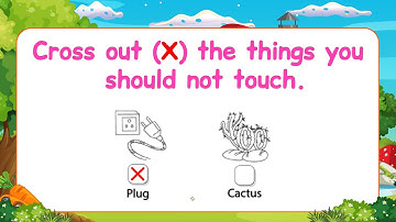 Pre-Primer EVS Lesson | Every Page Explained for Kids | evs for kids |