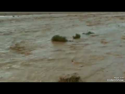 يا عقاب عقبك شفت بالوقت ميلات