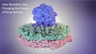 How Nanodiscs Are Changing The Future Of Drug Delivery