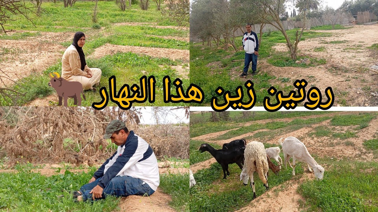 سبحان الله الدنيا ما فيهاش الثقه شوفوا شنو وقع لهذا مسكين 😭💔