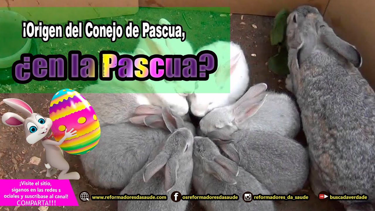 Vídeo: Pascua, Ishitar o Inanna