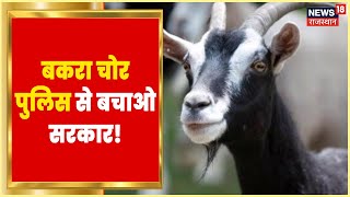 Jaipur News Congress Mla का बकरा चोरी, पुलिस पर लगाया बकरा चोरी कर बेचने का आरोप Hindi News