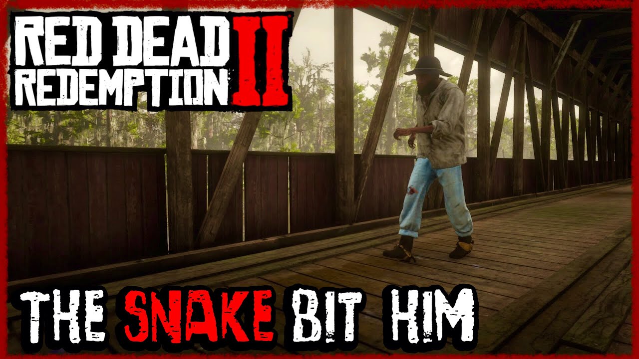 Red Dead Redemption 2 Can You Get Snake Venom Out With Mouth RDR2 YouTube