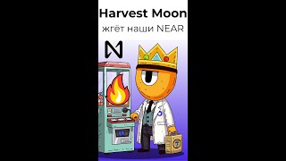 Harvest Moon теперь сжигает наши деньги? Как этого избежать. Последнее обновление ужаснуло!