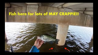 Fish HERE for loads of MAY crappie! Every lake has this!