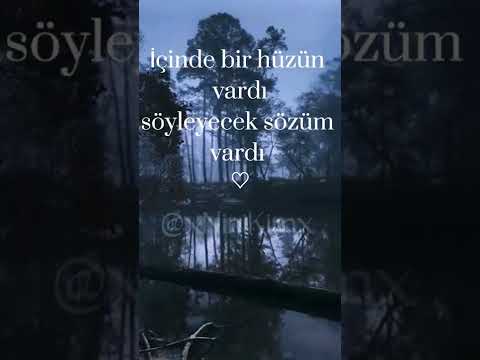 Bu kalp seni unutur mu~Tuğçe Haşimoğlu~COVER~kısa lyrics #keşfetedüş #keşfet #keşfetshorts #lyrics