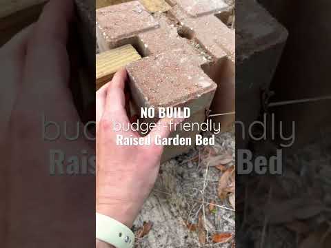 Raised Garden Bed on a BUDGET - No Build DIY #permaculture #gardening #zone9 #raisedbedgardening