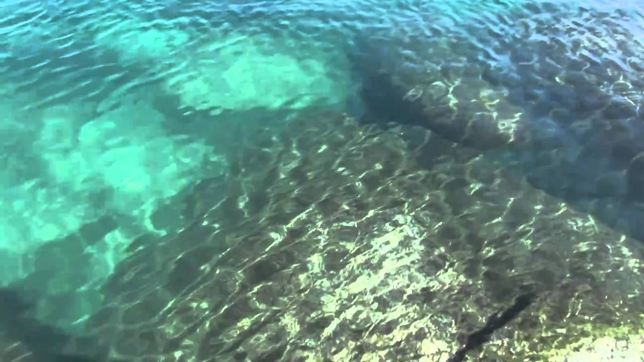 Thunderbolt - Fishing Lures by the Acme Tackle Company