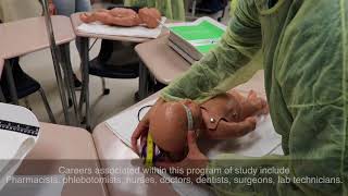 CTE Career Clusters: Health Science | McAllen ISD