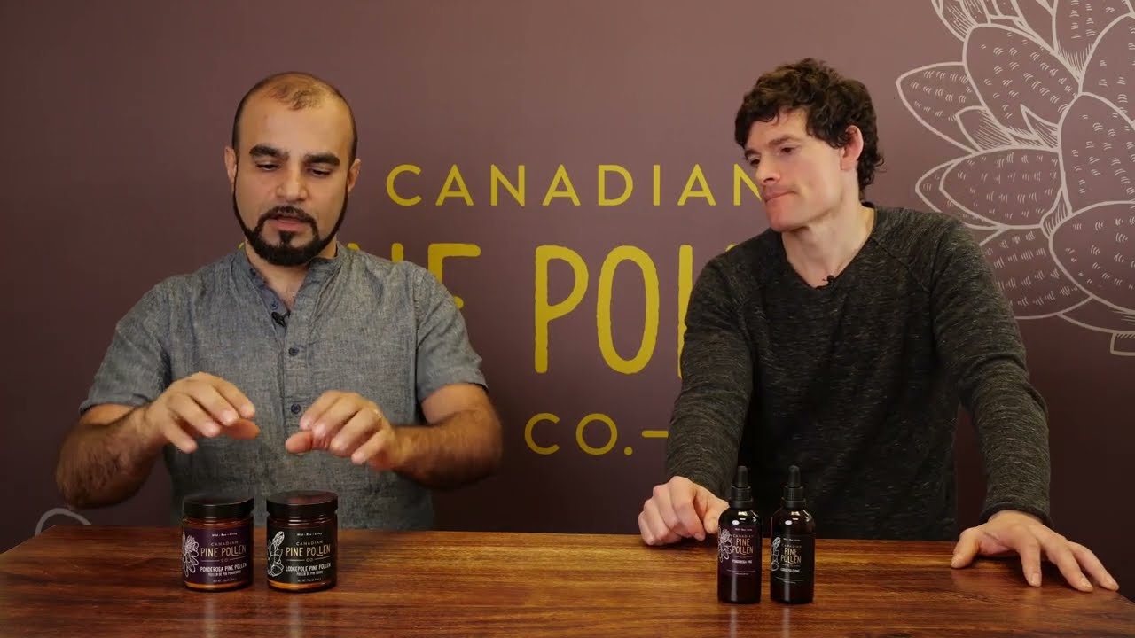 Ponderosa vs Lodgepole Pine Pollen YouTube