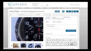 Quick Overview of Wavebid Cataloging