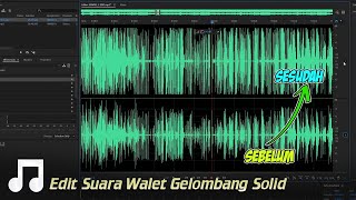 Cara Termudah Menyelaraskan Gelombang Suara Walet Plus Bebas Noise | Adobe Audition screenshot 4