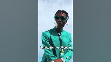 Thumbnail of Adekunle Gold, Zinoleesky - Party No Dey Stop (Official Music Video) Clip