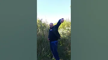 Что делать когда из-за дерева показуется морда медведя или волка