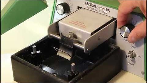 Vibratome 1000 Classic by Express Lab Werks, LLC
