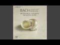 Miniature de la vidéo de la chanson Brandenburg Concerto No. 6 In B-Flat Major, Bwv 1051: Ii. Adagio Ma Non Tanto