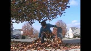 Throwawaytage