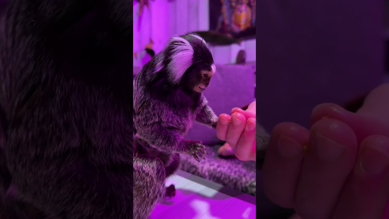 Попа не слипнется?