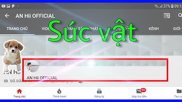 [Ngọc rồng online] rẻ rách lừa đảo mang tên AN HII OFFICIAL | xem nếu ko muốn bị lừa đảo