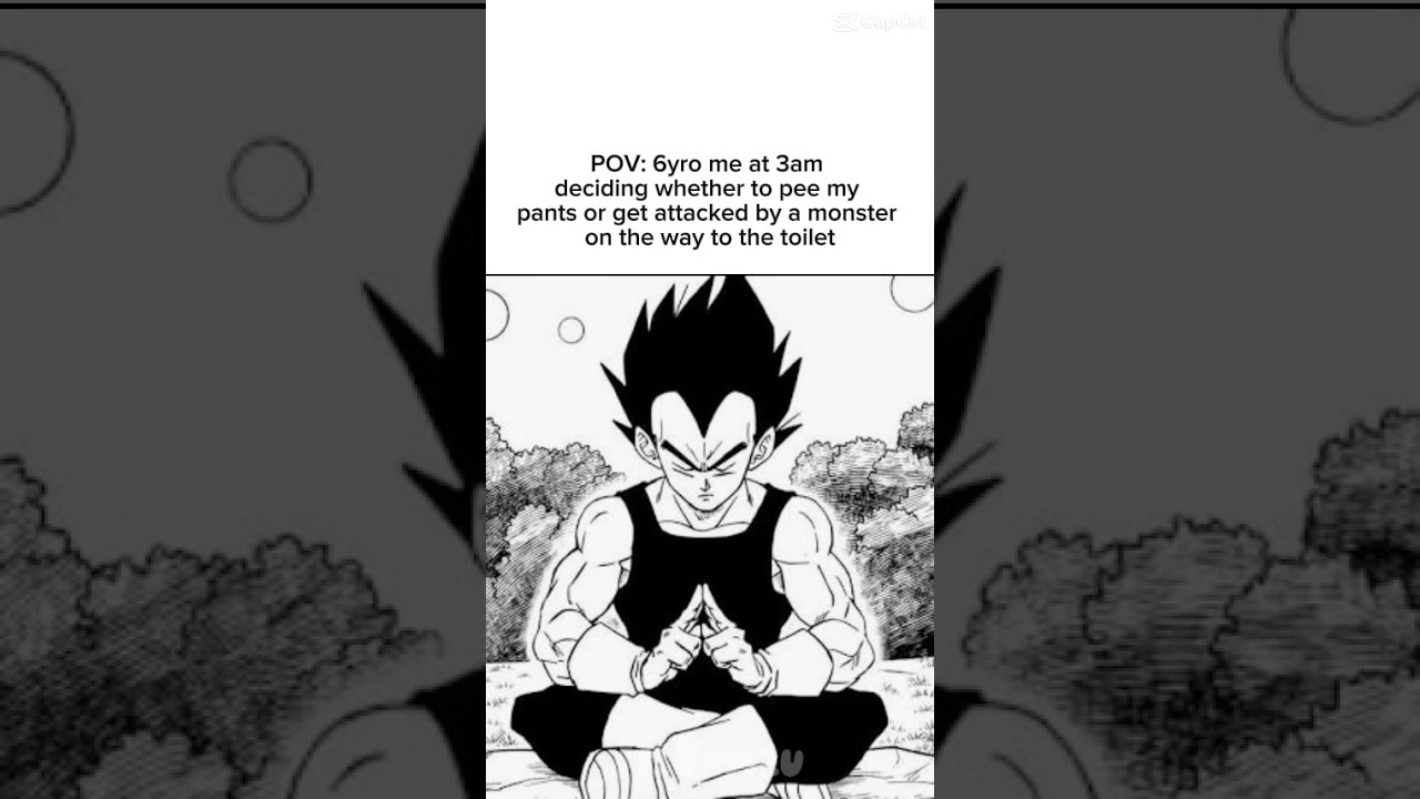 Vegeta meme lol😄