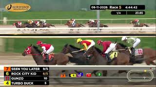 RACE 5 PROGRAM 08 11 2026