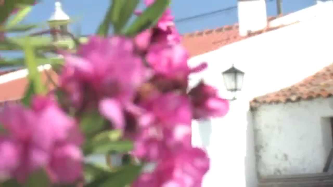 Aivados | A terra onde o povo mais ordena