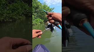 Pancing Akan Di Sambar 😁 #mancingikan #mancingsungai #fishingvideo2024