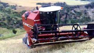 Mietitrebbia FiatAgri 3550 AL - Calabria -