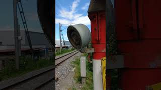 The sound of a Swiss level crossing! #shorts