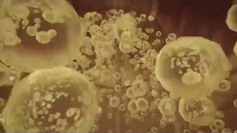 GEA Beverage JETSTAR