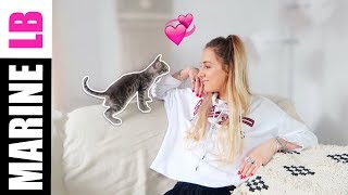 MEET MY KITTEN!