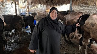 العيد السنادى عيد مش عادى عملنا انجاز بجد كل سنة بتعدى بنعمل المستحيل 