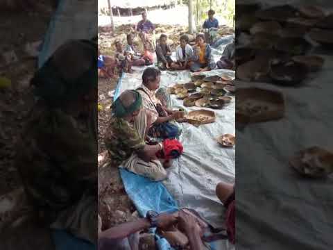 TRADISI RITUAL ADAT TIMORLESTE .DI MANDE'U CITHY(1)