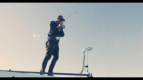 TackleDirect Pro Staff Series: Dan Schafer Part 2 ...