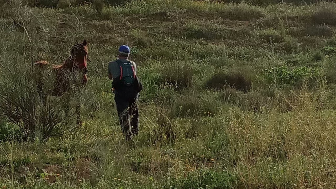 Ruta por Río Frío 1/03/2021 