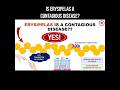 Is erysipelas a contagious disease? #erysipelas #contagious #infectionprevention #infection