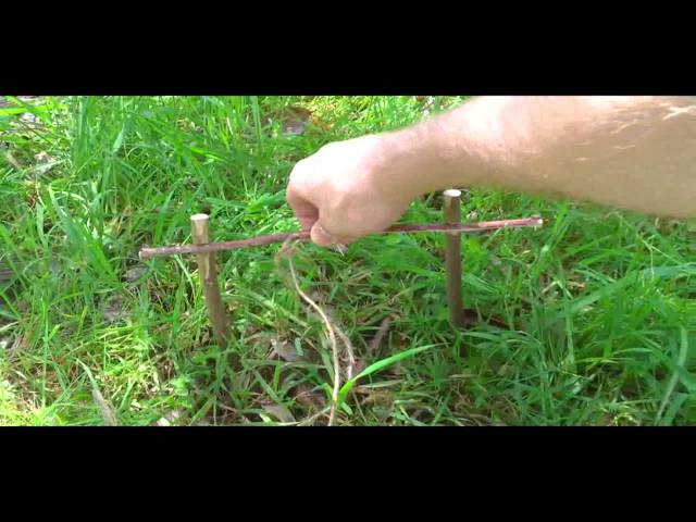 Easy Spring Snare Trap 