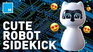 Meet the Robot Pet Who Learns Your Habits - STRICTLY ROBOTS