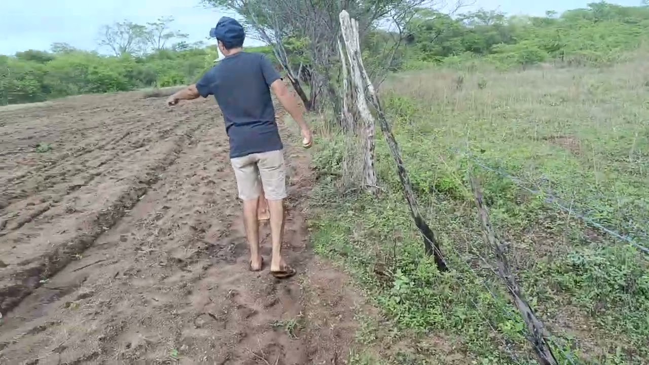 15 de fevereiro de 2026 muita chuva