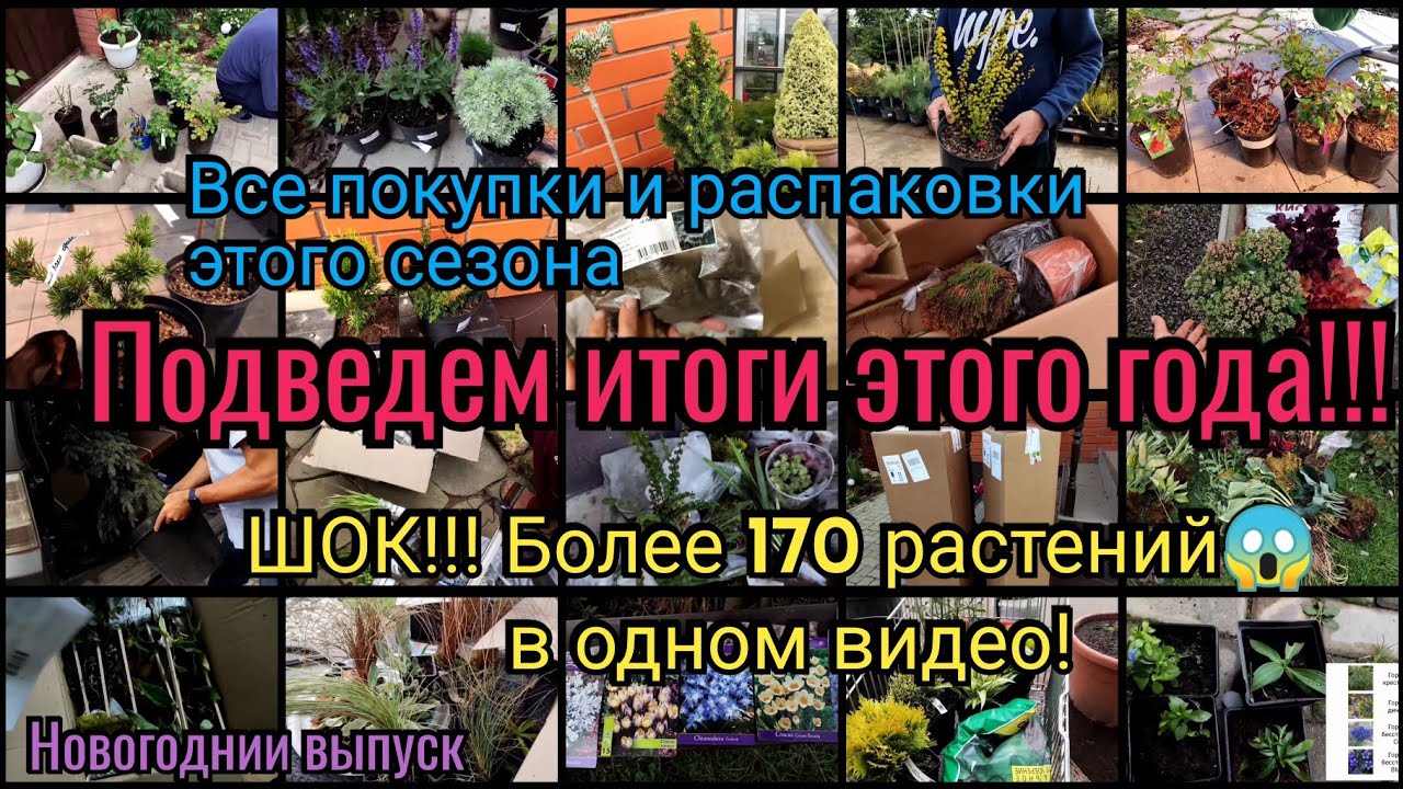 Всё что я посадила за год в одном видео. Более 170 растений! Мой сад с ранней весны до поздней осени