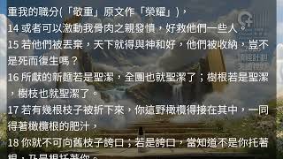 羅馬書 第11章