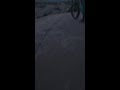 This Carbon-Fiber E-Bike Can Go Almost Anywhere