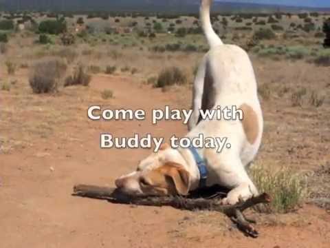 santa clarita diet Adopt BUDDY