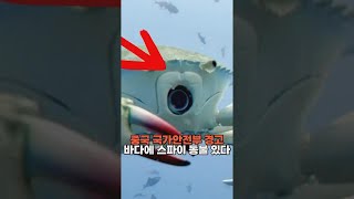China’s Ministry of State Security Issues Warning: There Are Spy Animals in the Ocean