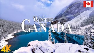 Winter Canada 4K Ultra HD • Enchanting Winter Wonderland Canada, Relaxation Film with Calming Music.