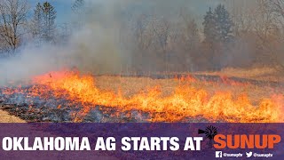 Eastern redcedar burning tips (12/1/18)